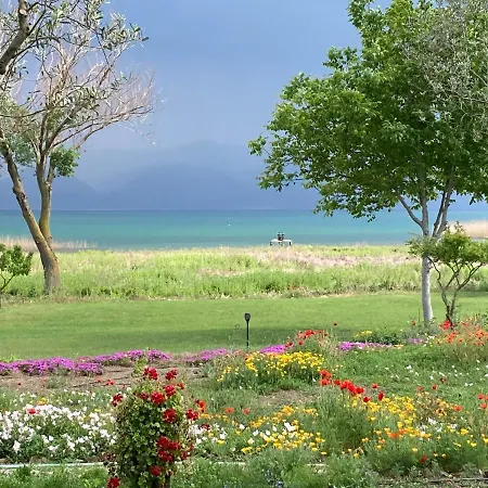 Perfect With Private By Iznik *