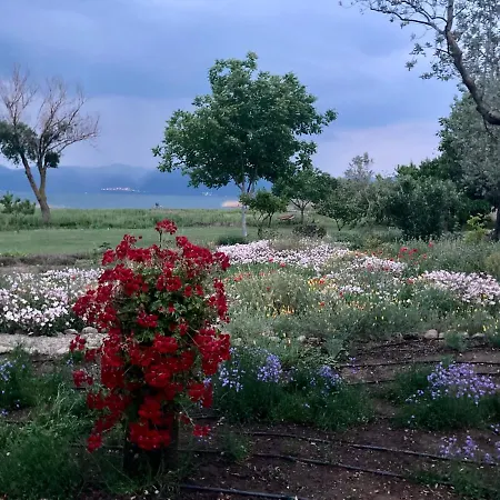 Kriskas Home Licensed Tourism Accommodation * بورصة