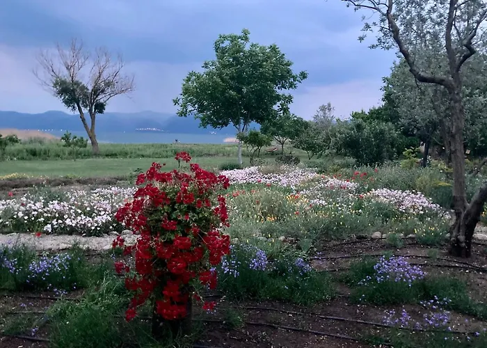 Kriskas Home Licensed Tourism Accommodation * بورصة